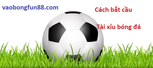 Cách bắt cầu tài xỉu bóng đá chuẩn năm 2023 Cách bắt cầu tài xỉu bóng đá chuẩn năm 2023